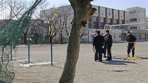 A string of gruesome cat killings has this Japanese city on edge.